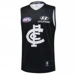 Camiseta Carlton Blues AFL 2023 Local  Camiseta Carlton Blues AFL 2023 Local