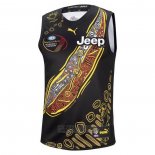 Camiseta Richmond Tigers AFL 2021 Indigena