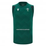 Tank Top Gales Rugby 2026 Entrenamiento Verde